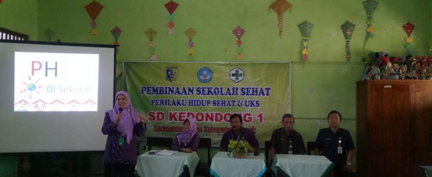 Pembinaa Sekolah Sehat