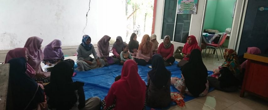 Pemantauan Kesehatan Ibu Hamil Desa Mlatiharjo