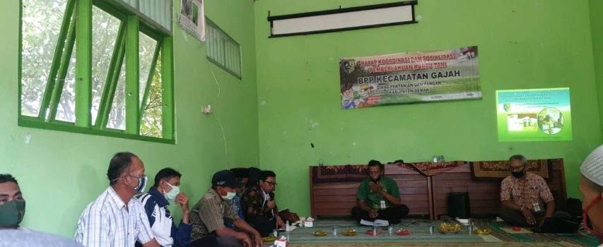 SOSIALISASI PEMBERLAKUAN KARTU TANI TINGKAT BPP KECAMATAN GAJAH