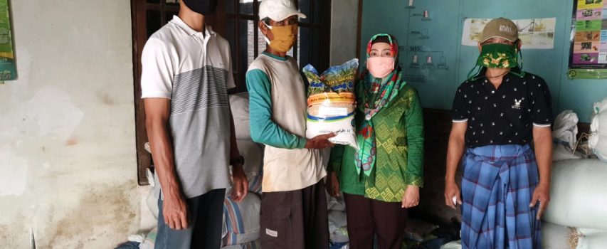 BUDIDAYA PADI SEHAT, KEUNTUNGAN BERTAMBAH