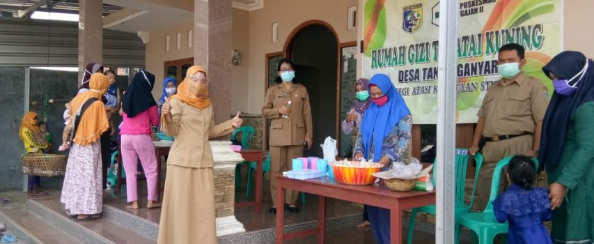 Pelaksanaan Rumah Gizi secara serentak di delapan desa wilayah Puskesmas Gajah II