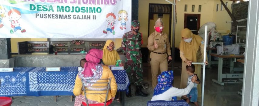 Program Prioritas Nasional Penanganan Stunting Start Kembali secara Serentak di Kecamatan Gajah