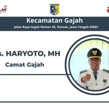 Camat
