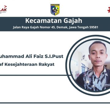 Nor Muhammad Ali Faiz S.I.Pust
