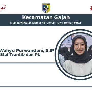 Rizqi Wahyu Purwandani