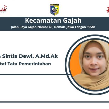 Ana Sintia Dewi,A.Md.Ak